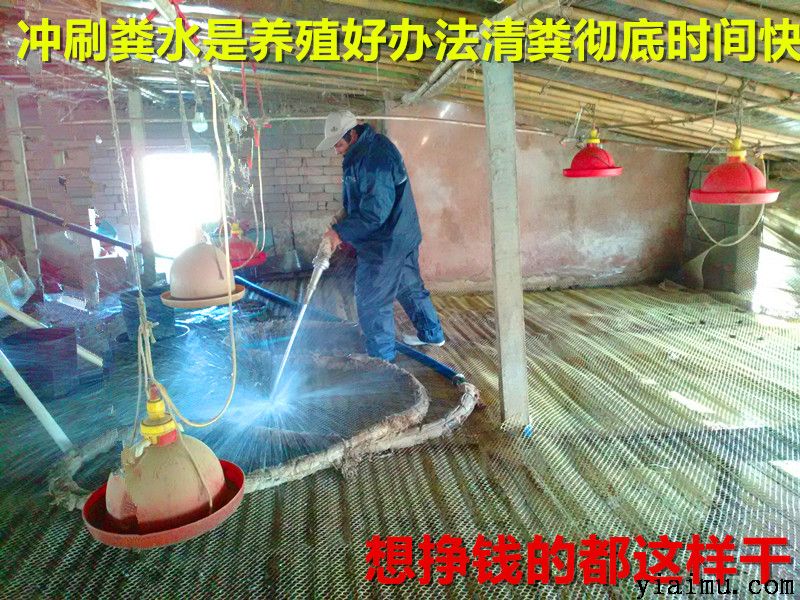 環(huán)保養(yǎng)殖沖刷棚舍 環(huán)保養(yǎng)殖沖刷棚舍
