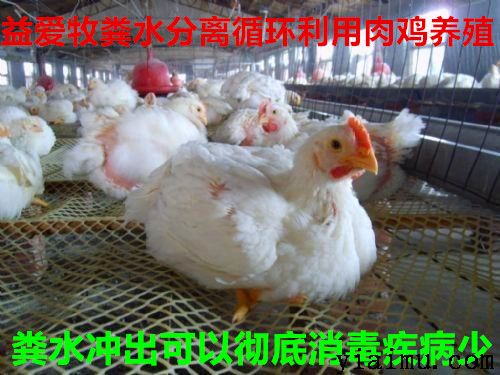 益愛(ài)牧網(wǎng)床環(huán)保養(yǎng)雞 益愛(ài)牧網(wǎng)床環(huán)保養(yǎng)雞