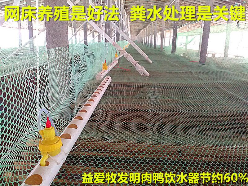 益愛(ài)牧網(wǎng)床養(yǎng)殖節(jié)水器 益愛(ài)牧網(wǎng)床養(yǎng)殖節(jié)水器