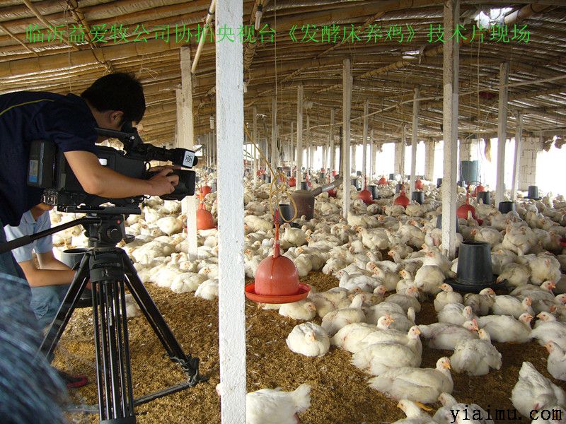 cctv-7l(f)ʹB(yng)ug(sh)